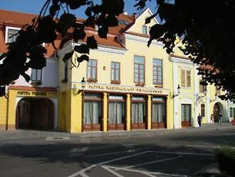 Hotel Traube Медіаш Екстер'єр фото